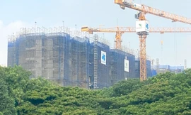 Biến động nhân sự cấp cao Tập đoàn Hòa Bình sau ‘đại chiến vương quyền’