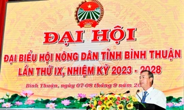 Trưởng phòng của Ban Tổ chức Tỉnh ủy làm Phó Chủ tịch Hội Nông dân 