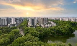 TPHCM: Quận, khu vực có lượng tìm kiếm BĐS nhiều và giá cho thuê tốt nhất?