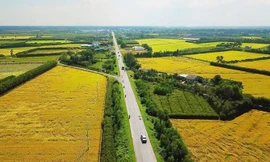 TPHCM cho xây dựng công trình trên đất nông nghiệp