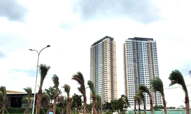 Cháu bé 6 tuổi ở TPHCM tử vong nghi ngộ độc sau khi ăn bánh su kem