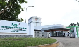 Ngỡ ngàng doanh thu của Vinamilk, BAF 