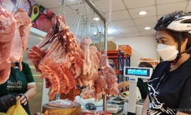 Ngân hàng Singapore hạ dự báo tăng trưởng GDP Việt Nam xuống 5,2%