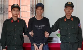 Biết tin ông chủ 'sa cơ', kẻ làm thuê liền trộm hàng chục cây gỗ Giáng Hương