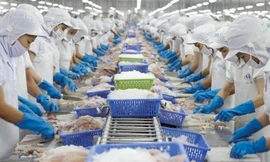 Xuất hiện 'quán quân thua lỗ' trên sàn chứng khoán