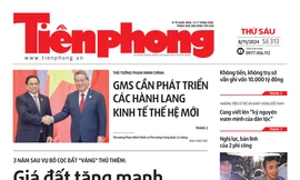 Tiền Phong số 313/2024