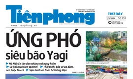 Tiền Phong số 251/2024