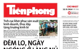 Tiền Phong số 266/2024