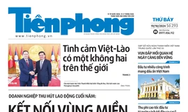 Tiền Phong 293/2024