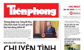 Tiền Phong số 294/2024