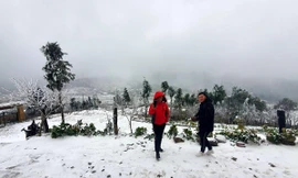 Băng tuyết phủ trắng Y Tý và đèo Ô Quy Hồ