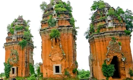 Bình Định kiểm tra quản lý tiền công đức