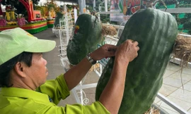 Hàng trăm loại trái cây độc lạ ở lễ hội