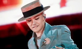 Hoa cúc thiếu cánh là gì mà ầm ĩ mạng xã hội?