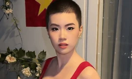 Pháo khuynh đảo nhạc Việt 