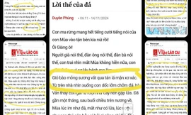 Bị lên án đạo văn, nữ tác giả Duyên Phùng thừa nhận bị nhiễm văn