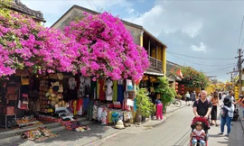 Thường trực Chính phủ: Nâng thời gian lưu trú với khách quốc tế lên 45 ngày