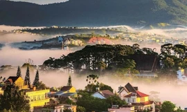 Phát triển Lâm Đồng trở thành ‘thiên đường xanh’