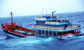 Thủ tướng yêu cầu huy động tối đa các lực lượng tìm kiếm ngư dân trên hai tàu cá bị chìm