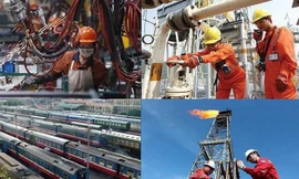 Quy định về từ chức, miễn nhiệm người đại diện vốn nhà nước tại doanh nghiệp