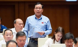 Bất cập dự án BOT: 'Chim sẻ mà hoang mang thì đại bàng cũng lo lắng'