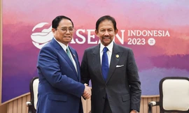 Sớm ký kết Hiệp định liên chính phủ về thương mại gạo giữa Việt Nam và Brunei