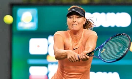 Sharapova chưa thể trở lại là chính mình.
