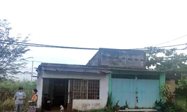 Nhà của vợ chồng chị Hằng trơ trọi giữa lau sậy ở Thủ Thiêm. Ảnh: Sơn Hòa.