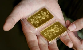 Đi cùng với võ sư Flores là Katleen Phan Võ - con gái của đại sư Nam Anh.