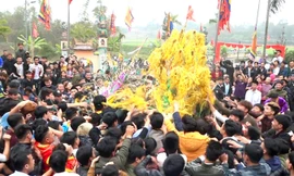 Dẫm đạp cướp lộc ở hội Rước cây bông