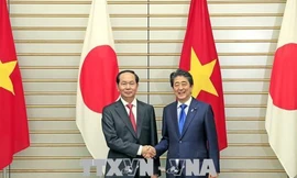Chủ tịch nước Trần Đại Quang hội đàm với Thủ tướng Shinzo Abe. Ảnh: TTXVN.