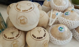 Dừa uống nước xiêm xanh.