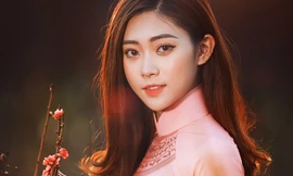 Dạo vườn đào Tết với thiếu nữ Hà Nội