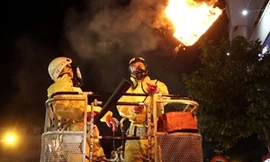 Hàng chục cảnh sát TP HCM phá tổ ong trên cây trong đêm