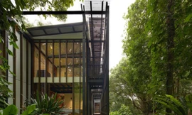 Giải nhiệt mùa hè trong ngôi nhà xanh mát như ốc đảo nhiệt đới