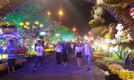 Trang trí 8 vạn chậu hoa tươi tại đường hoa nghệ thuật Cần Thơ 2018