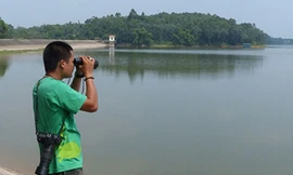 Anh Nguyễn Tài Thắng túc trực ở hồ Xuân Khanh để theo dõi rùa mai mềm lớn. Ảnh: ATP.