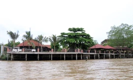 Dự án resort lấn chiếm sông Hậu: 'Lỗi vi phạm này rất lớn'