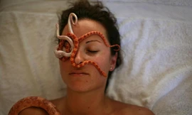 Chữa bệnh bằng bò sát đang được nhiều người tin dùng.