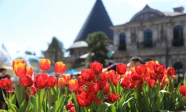 Lễ hội hoa Bà Nà có thể khiến du khách… không muốn về