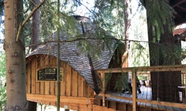 Cận cảnh trụ sở 'khủng' trên cây của gã khổng lồ công nghệ Microsoft 