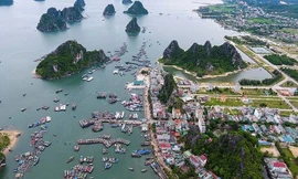 Giao đất đặc khu 99 năm chỉ 'lợi cho nhà đầu cơ đất'