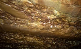 Phát hiện hang động kỳ lạ giữa rừng Quảng Ninh