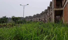Một dự án bỏ hoang từ nhiều năm nay tại huyện Hoài Đức.