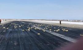 Các thỏi vàng rơi trên đường băng.