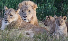 Ảnh minh họa. Nguồn: BBC.