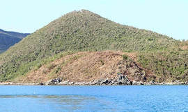 Nhiều hecta đất tại vịnh Vân Phong, huyện Vạn Ninh bị đào bới, cây cối bị đốn hạ. Ảnh: An Phước