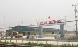 Chủ công trình chợ và khu thương mại dịch vụ Cổ Dũng (chợ Giống) diện tích gần 14.000m2 triển khai xây dựng trước khi có quyết định thu hồi đất.