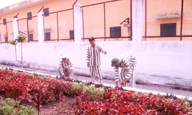 Cậu bé lưng gù và cú đẩy oan nghiệt