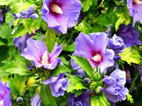 Thứ Hai của bạn (16-4-2012)